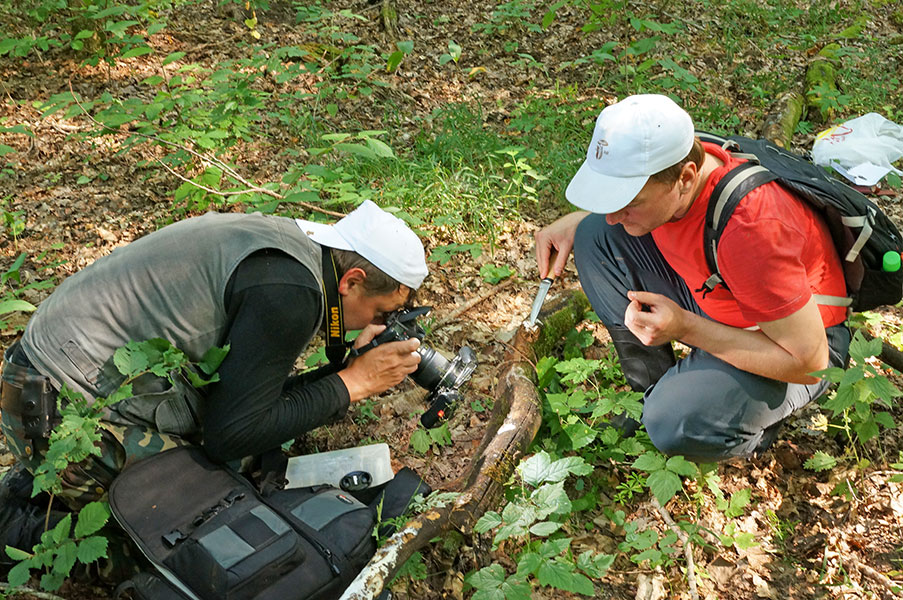 Algeria BioAtlas Nature