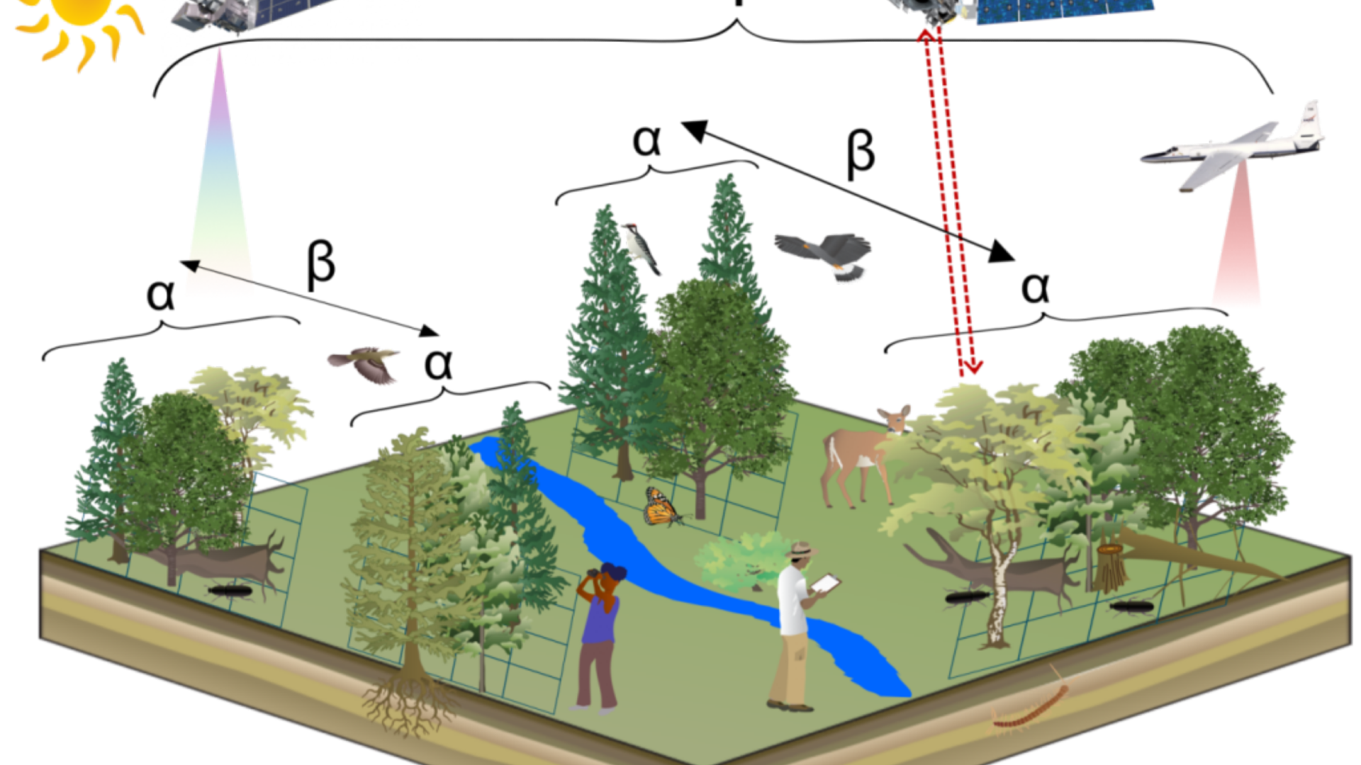 Remote Sensing for Change Detection